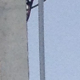 Подключение электричества к столбу в городе Лобня.
